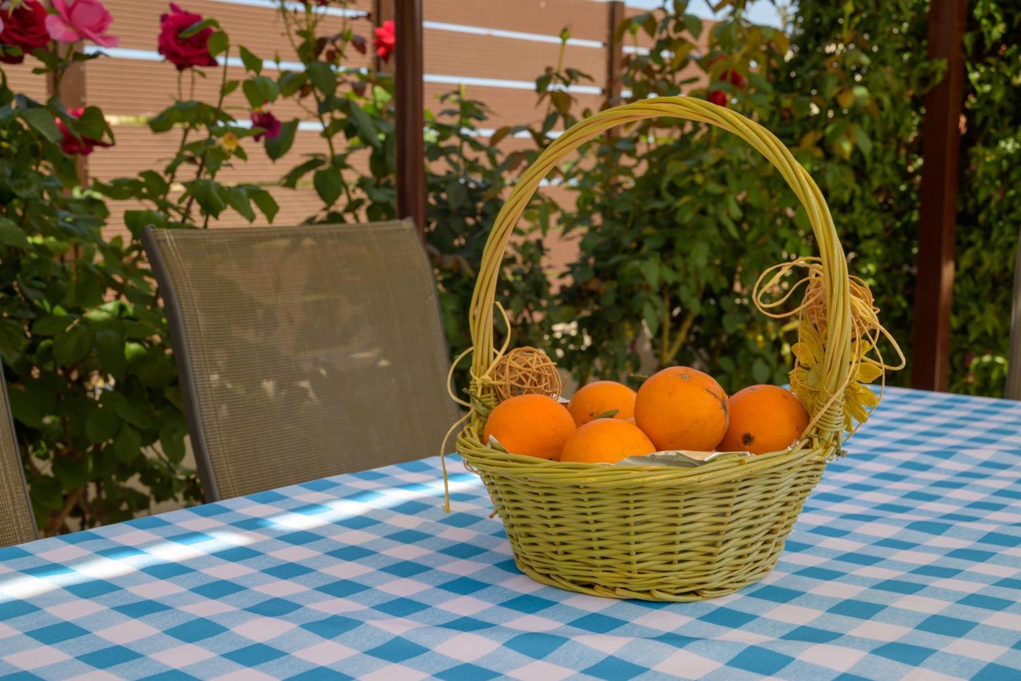 Artemis Riviera Villa Dış mekan fotoğraf